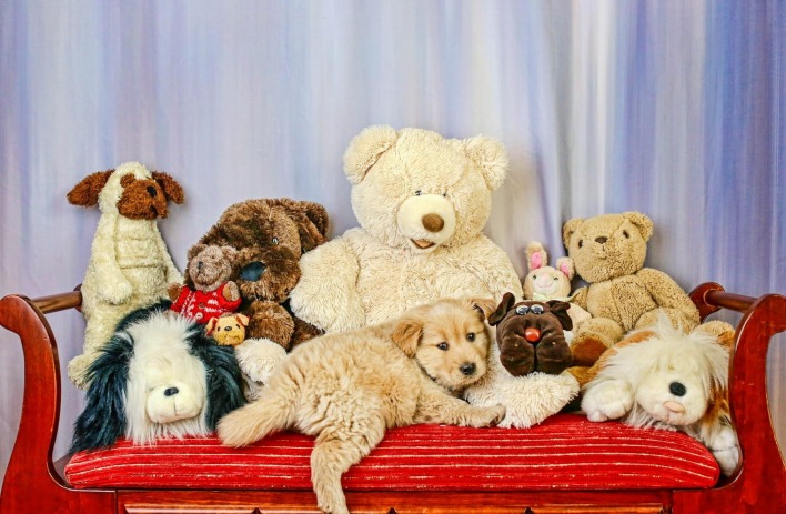 игрушки животные собаки