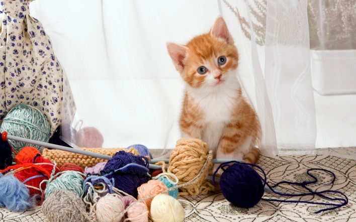 котенок нитки вязание