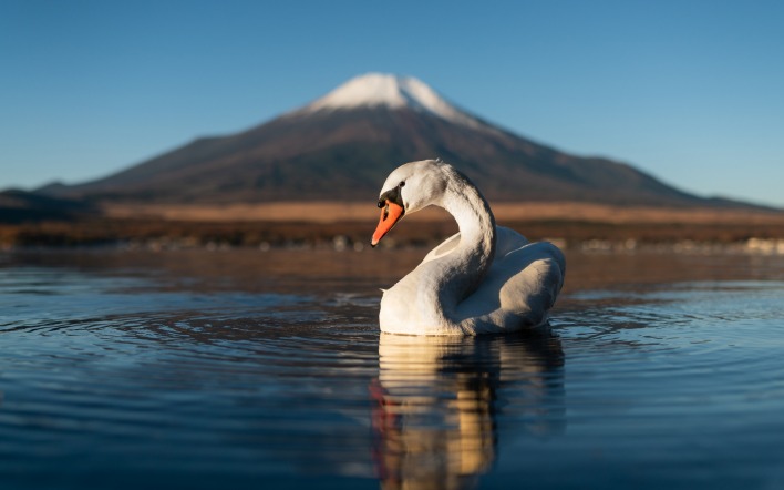 лебедь гора вулкан озеро