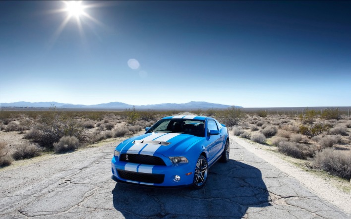 Blue Shelby