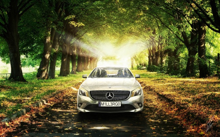серый автомобиль природа деревья Mercedes
