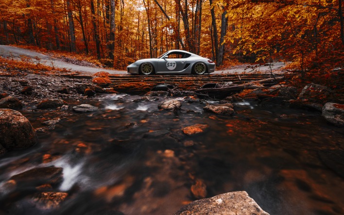 машина лес осень