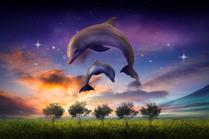 дельфины прыжок поле деревья небо фотоманипуляция