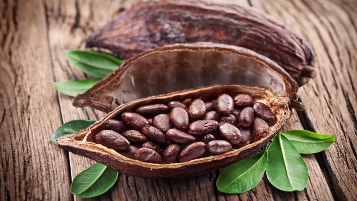 какао бобы растение
