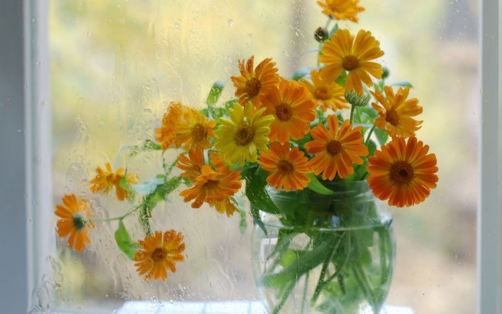 Цветы на окне в вазе