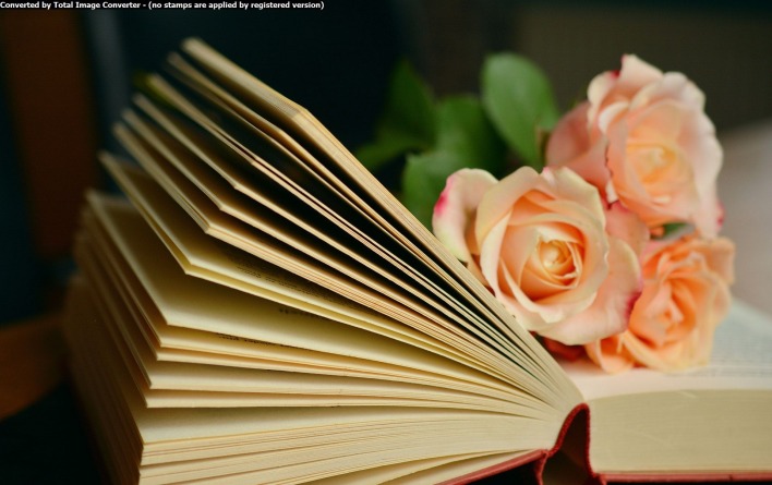 розы,книга,листья