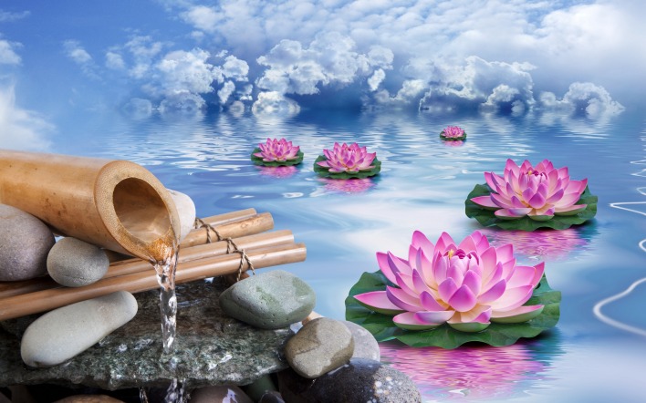 вода лотос цветы небо вода тучи отражение цветы камни бамбук японский стиль