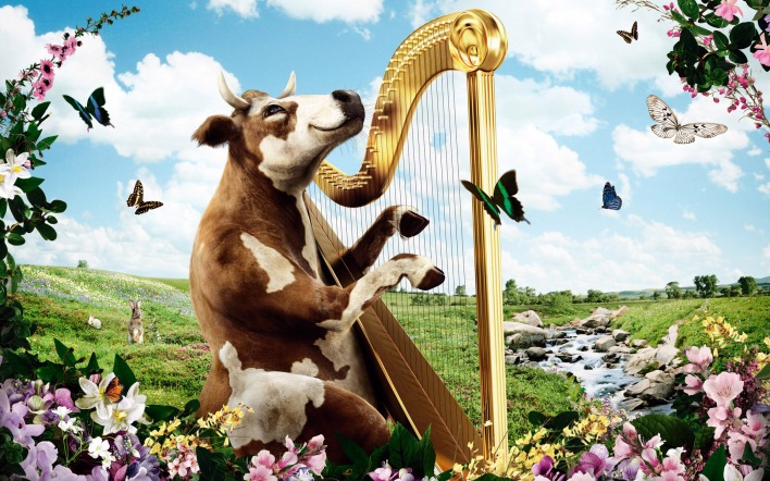 Корова-музыкант