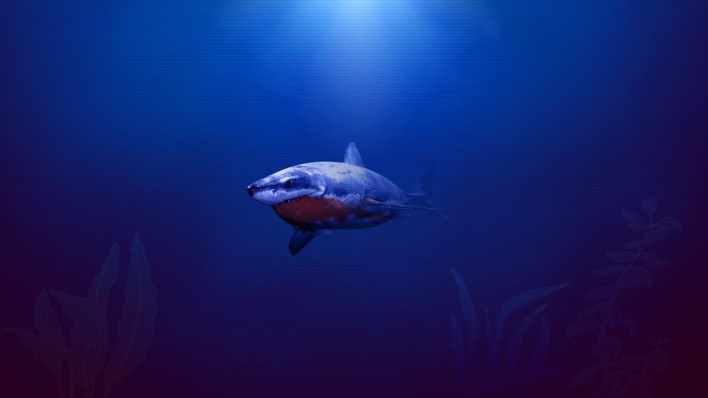 акула море под водой арт