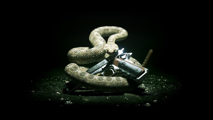 Змея с пистолетом