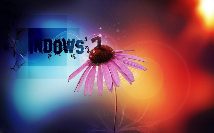Windows 7 цветок