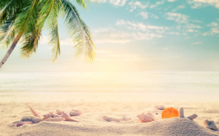 пляж песок пальма отдых