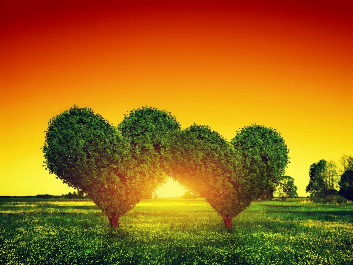 сердце деревья