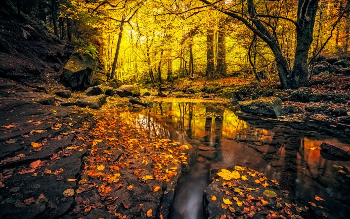 речка осень лес
