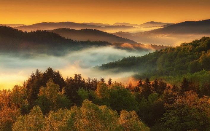 холмы лес на рассвете туман