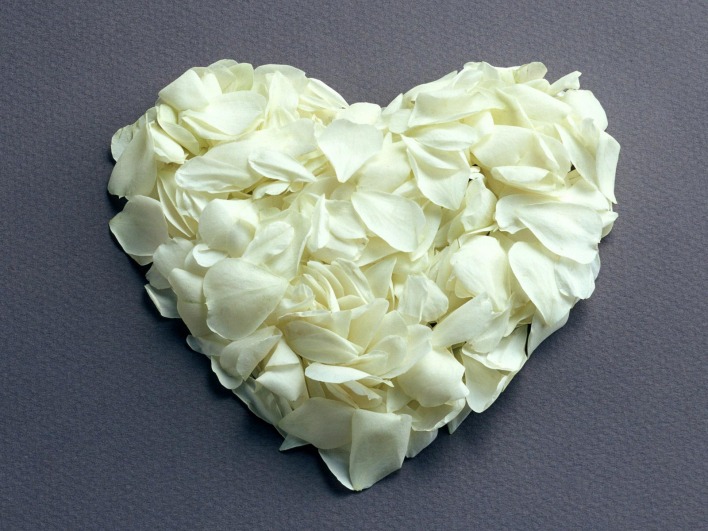 Сердце из лепестков белых роз