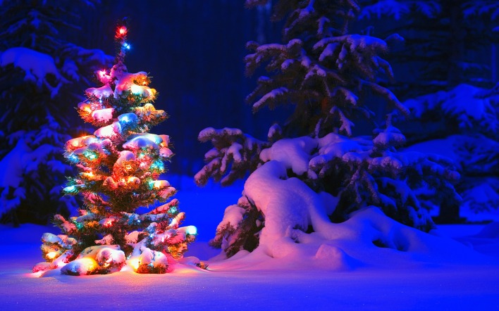 елка фонарики снег ночь