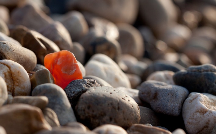 Янтарный камушек на берегу