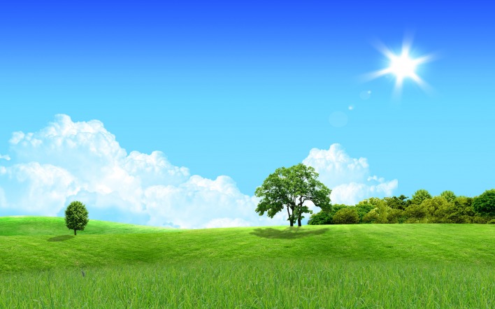 Солнце, лето, небо, трава, деревья