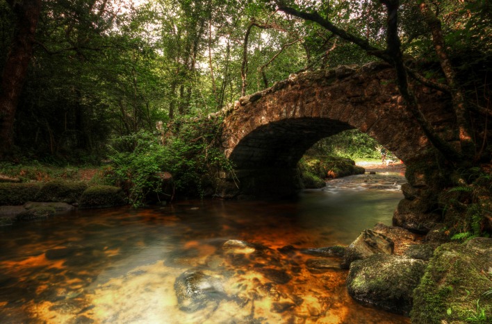 Каменный мост над рекой в лесу