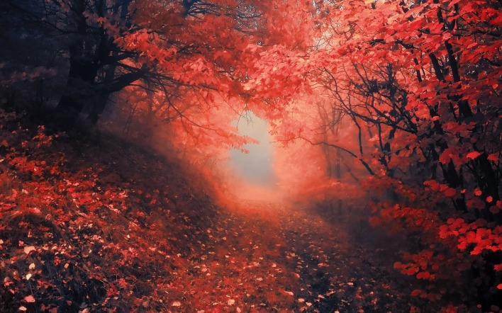 красный лес