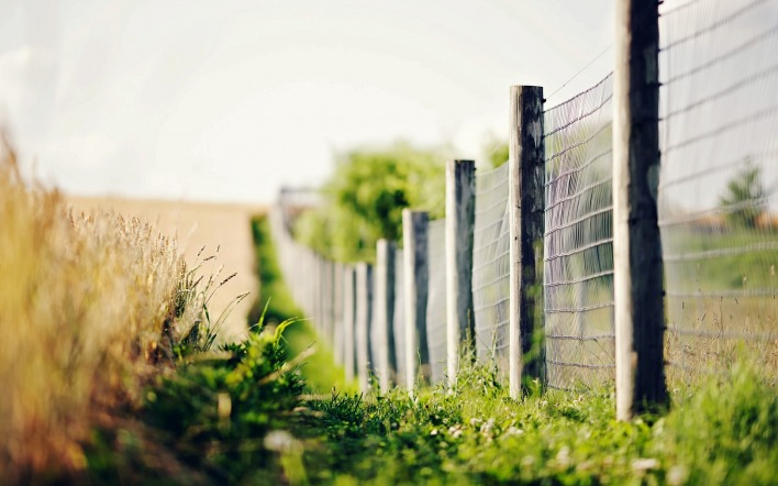Забор сетка природа трава рожь