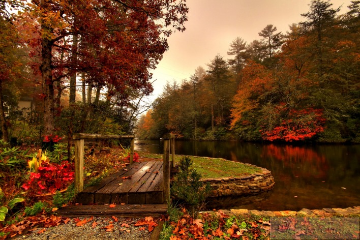 Осень лес мостик
