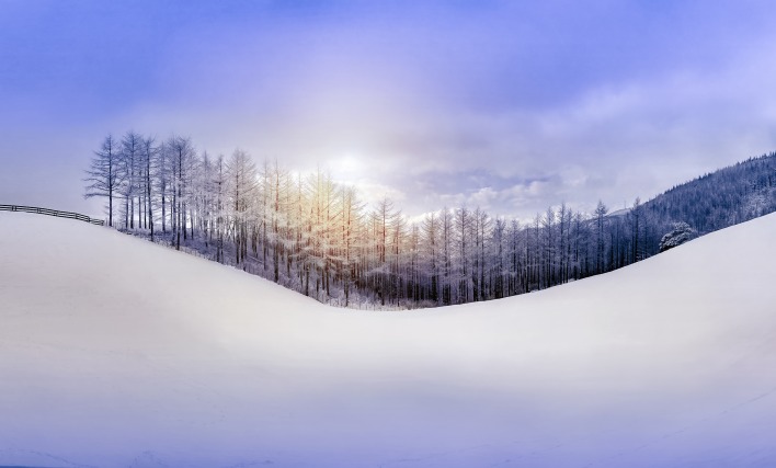 природа снег деревья небо