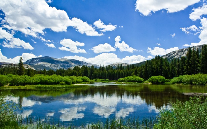 озеро небо облака вода природа лес деревья трава кусты горы