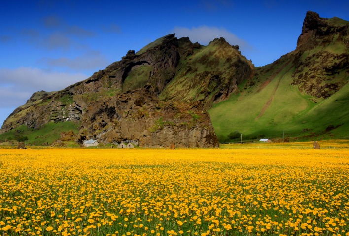 природа поле горы скалы желтые цветы