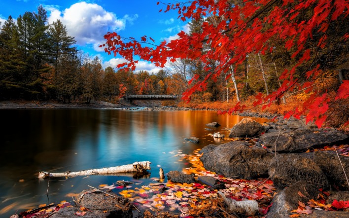 Осень вода отражение лес речка
