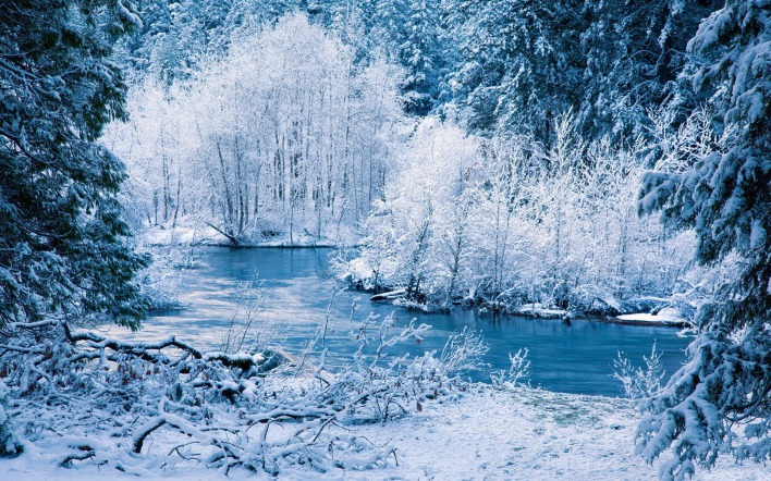 природа зима снег река деревья