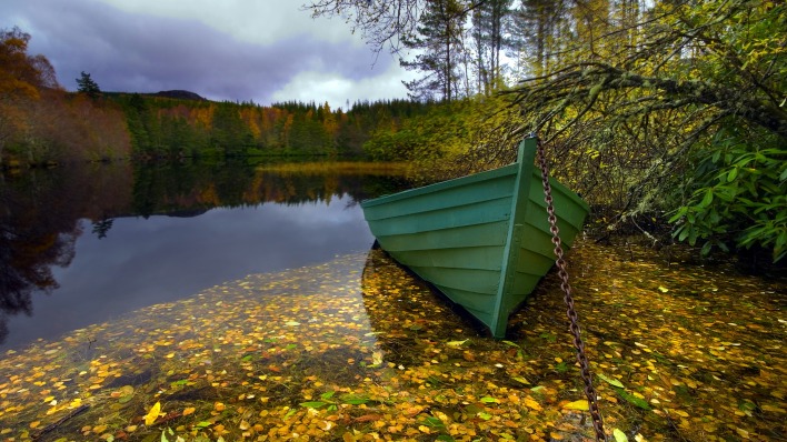 природа озеро лодка листья осень деревья
