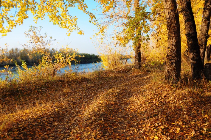 осень дорога река autumn road river