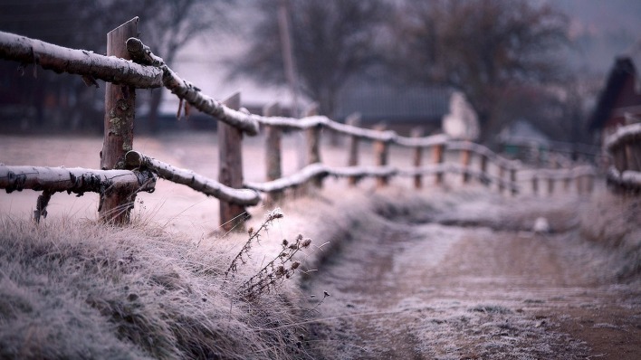 забор дорога иней the fence road frost