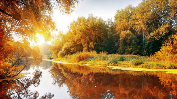речка осень рассвет the river autumn dawn
