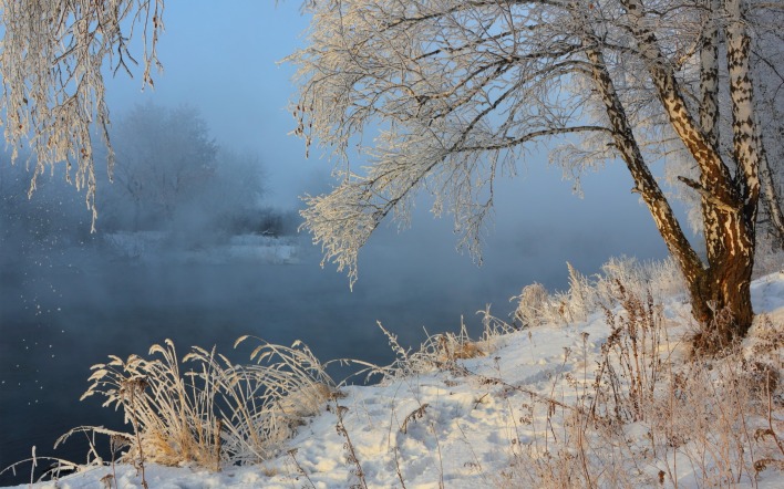 снег речка береза snow the river birch