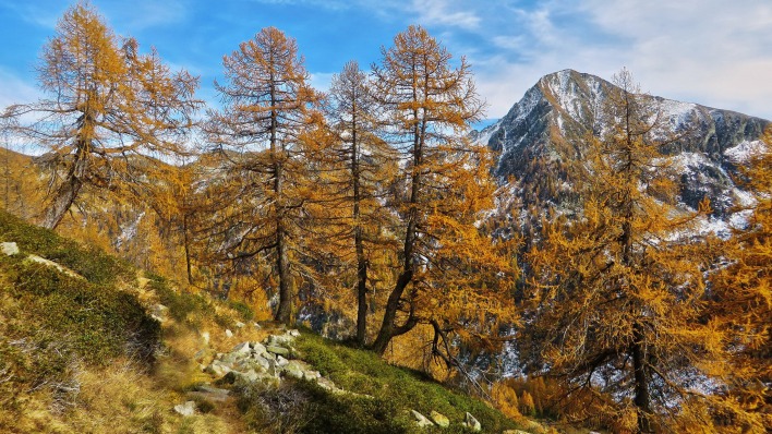 природа деревья горы скалы