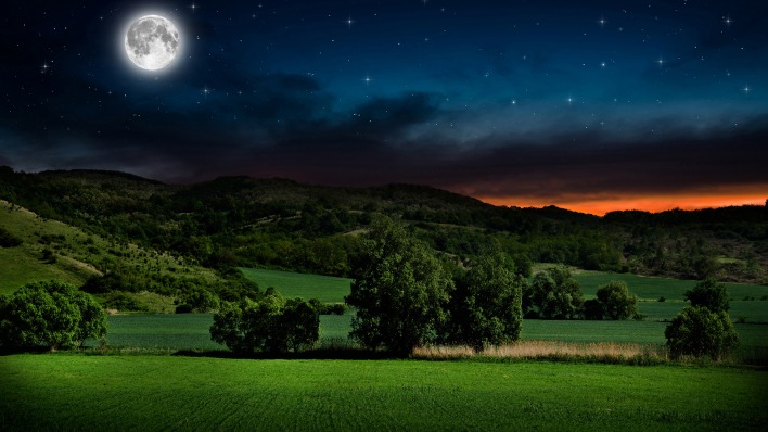 природа небо луна деревья ночь