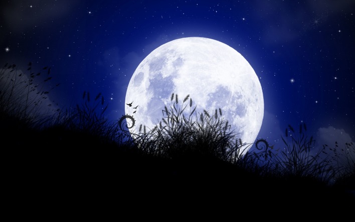 Луна трава ночь