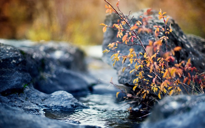камни вода осень