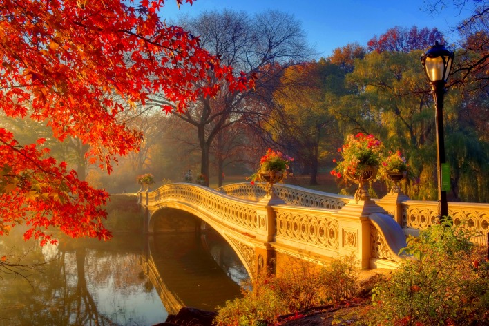 природа деревья мост осень река
