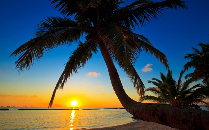 закат море пальмы