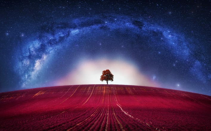 поле звездное небо дерево