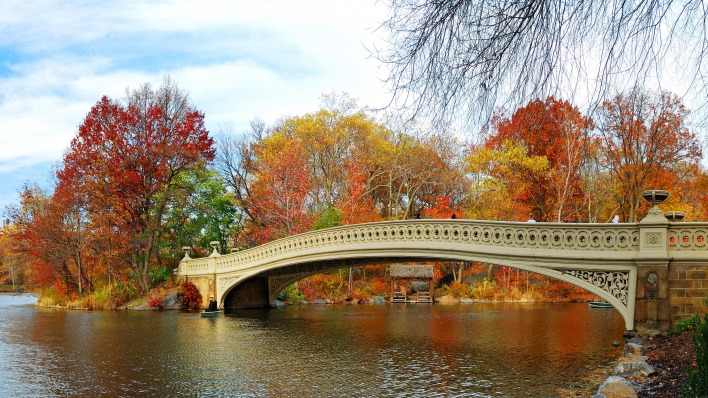 мост осень деревья