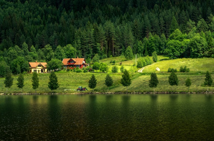 зелень природа озеро