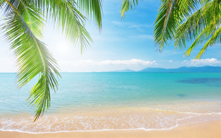 Море песок пляж пальмы