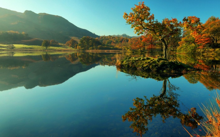 природа озеро отражение деревья