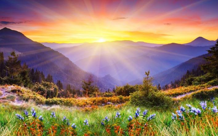 закат лучи солнце цветы горы