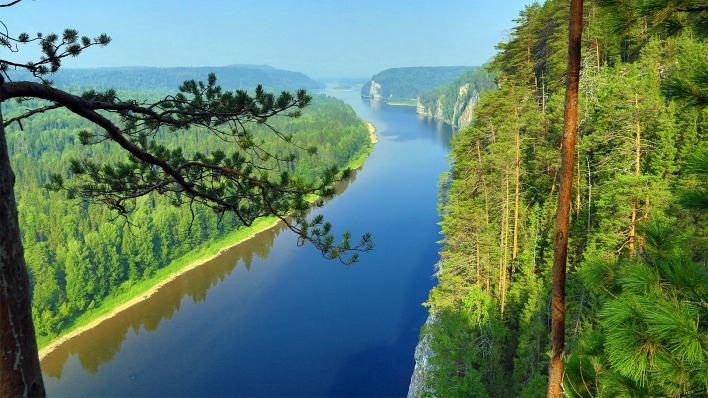 красивая природа, река, лес